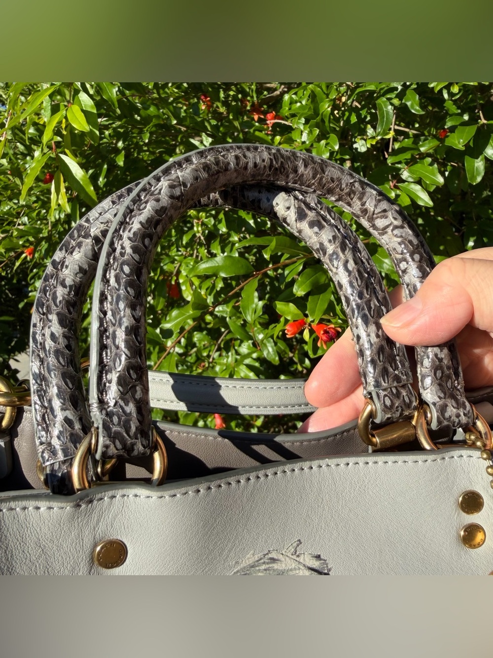 Coach X Jean-Michel Basquiat Rogue Bag 25 With Snakeskin Detail 6888 - Picture 4 of 16